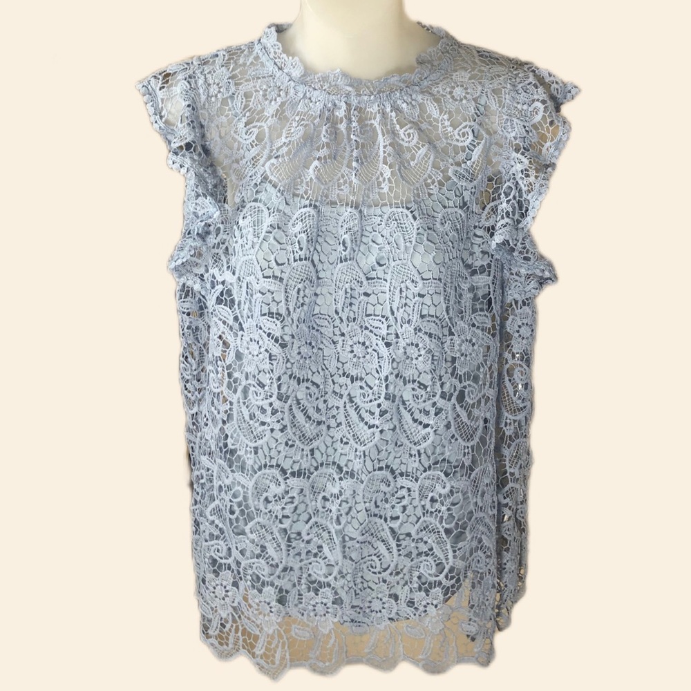 A Diva Periwinkle Lace Blouse with Camisole
